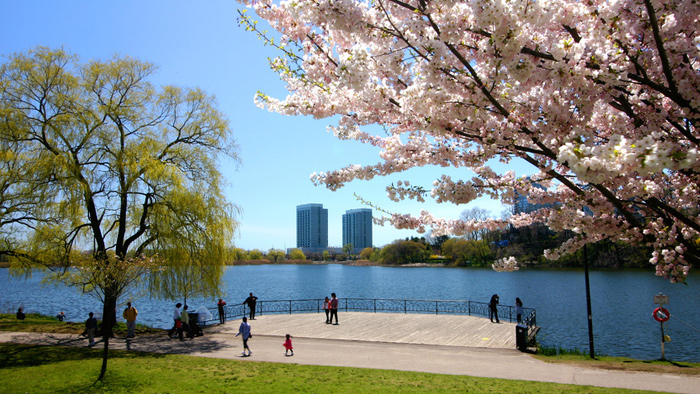 High Park